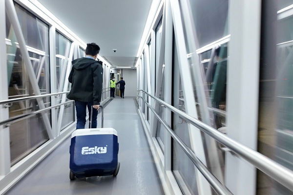  医护人员争分夺秒护送器官上飞机